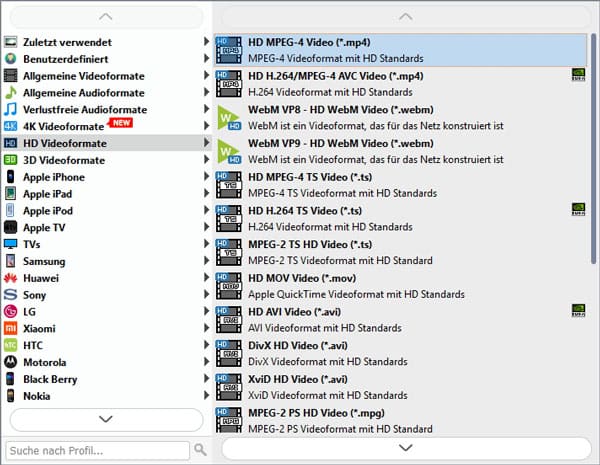 Ein Ausgabeformat wählen