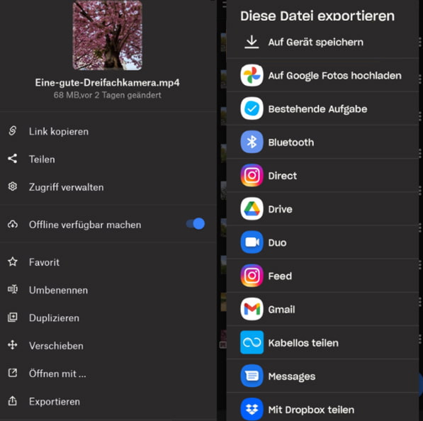 Fotos aus Dropbox exportieren