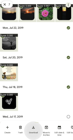 Google Fotos in Galerie herunterladen