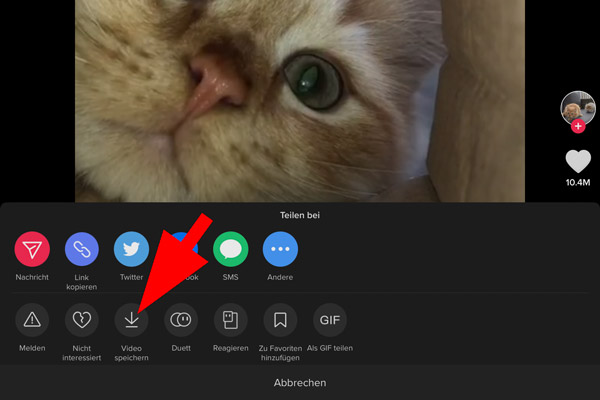 Videos bei TikTok speichern