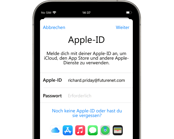 Apple-ID eingeben