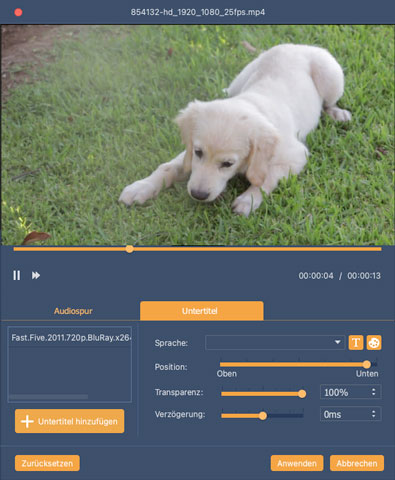Untertitel einfügen