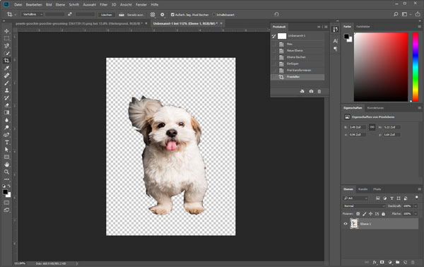 Bild-Hintergrund entfernen mit PS
