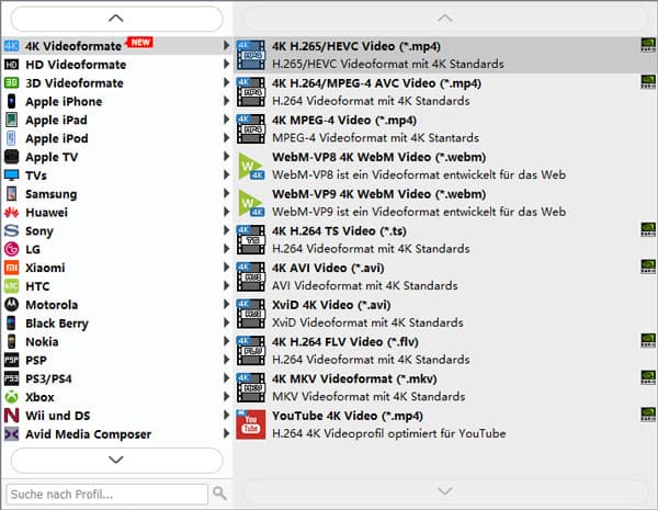 Ausgabeformat wählen