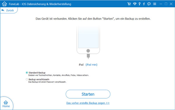iPad Datensicherung starten