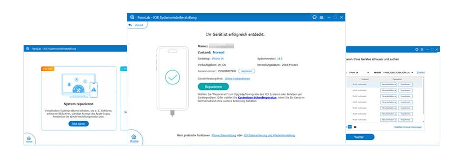 iOS Systemwiederherstellung