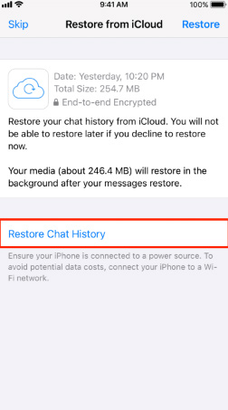 Chatverlauf aus iCloud wiederherstellen