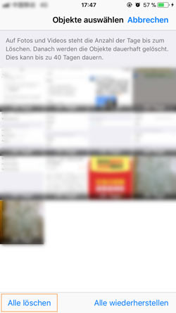 Foto-Papierkorb auf iPad leeren