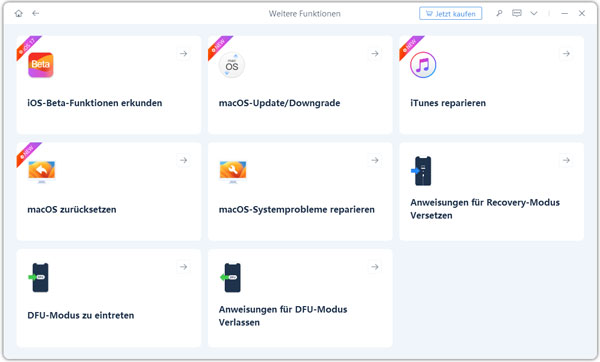 Weitere Funktionen Von ReiBoot