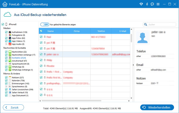 iPhone-Daten aus iCloud-Backup wiederherstellen