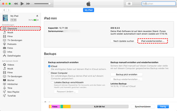 iPad zurücksetzen mit iTunes