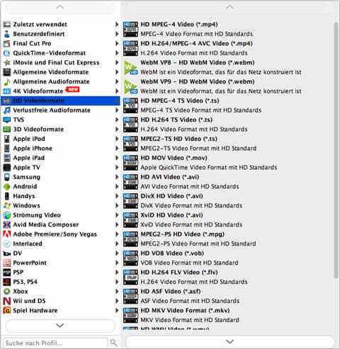 Ein Ausgabeformat wählen