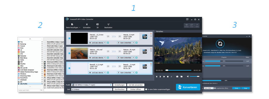 Anleitung für MP4 Video Converter