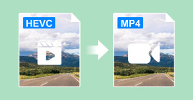 HEVC in MP4 konvertieren