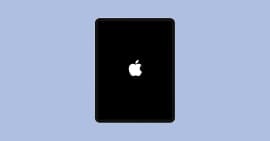 iPad zurücksetzen ohne Apple ID