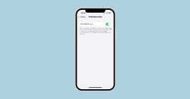 iPhone Entwicklermodus