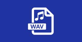 WAV-Format