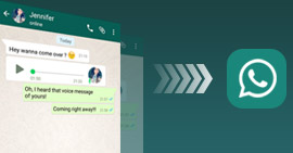 WhatsApp Chat faken