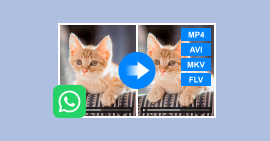 WhatsApp Video Converter