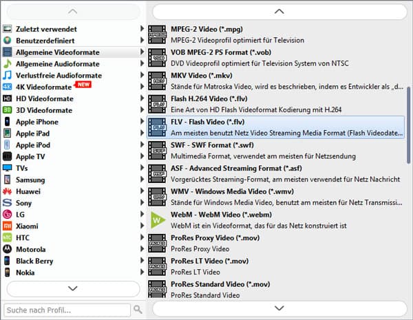 Das FLV Format wählen