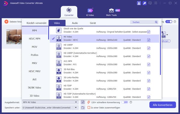 Ausgabeformat MP4 wählen