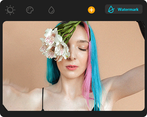 Wasserzeichen Entferner