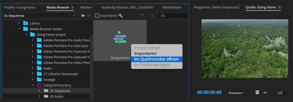 Datei in Premiere Pro importieren