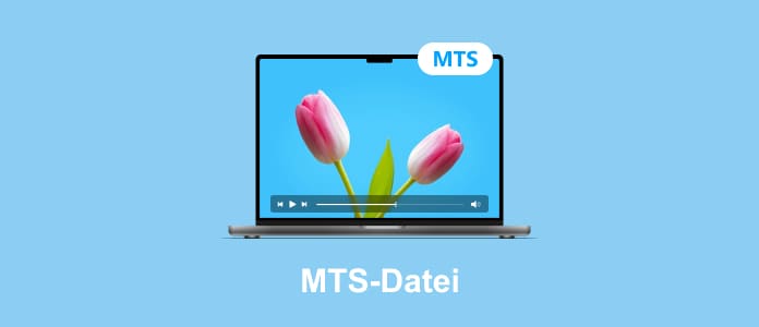 MTS-Datei