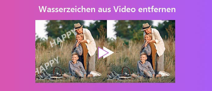 Wasserzeichen aus Video entfernen