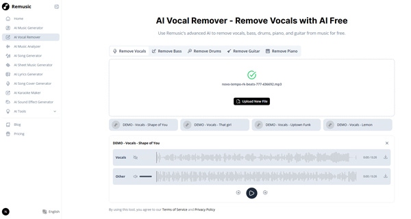 Gesang mit Remusic entfernen