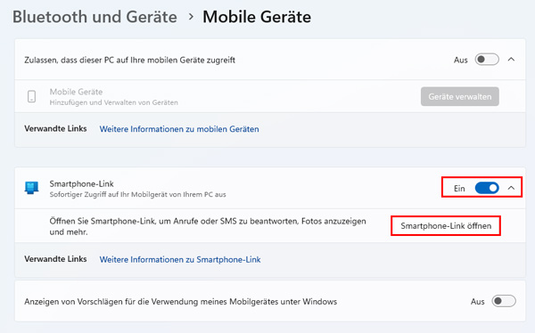 Smartphone Link Option aktivieren