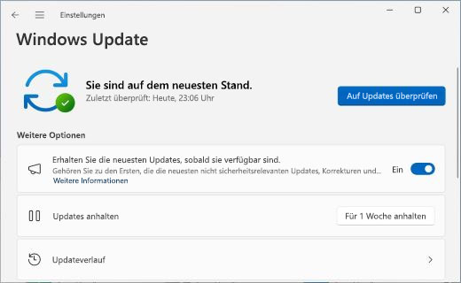 Windows Update durchführen